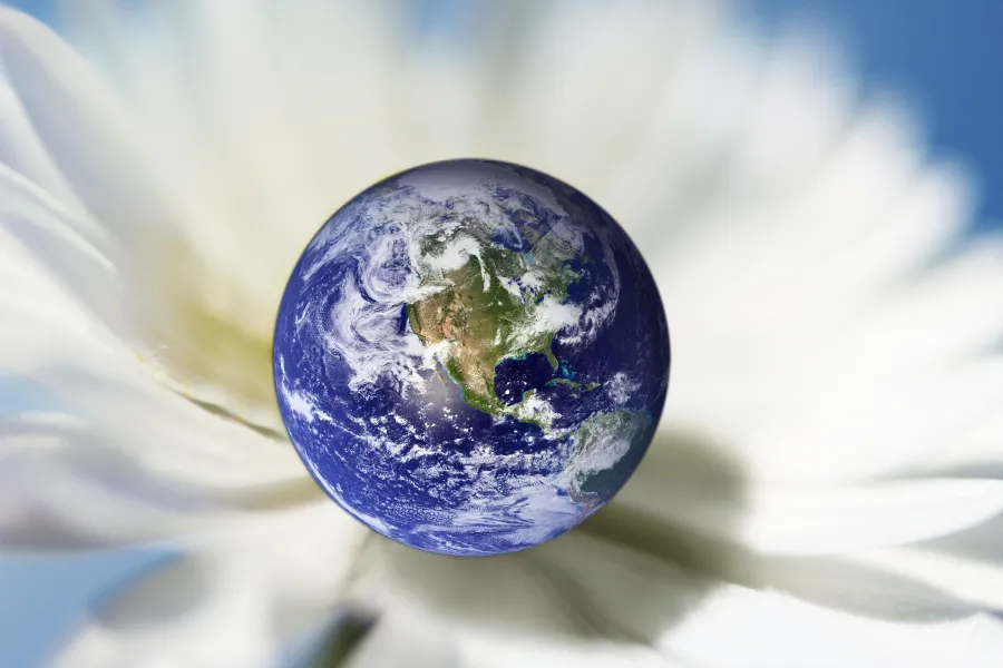 Globe terrestre signifiant un accompagnement en neuroénergétique et ThetaHealing à distance, séances en visioconférence disponibles partout en France, en Suisse et en Belgique avec Nadège Augereau.